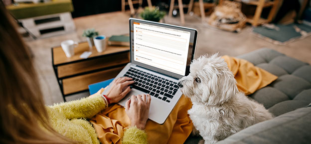 Person sitzt auf einem Sofa mit einem Laptop auf dem Schoß, während ein kleiner weißer Hund neben ihr aufmerksam schaut.