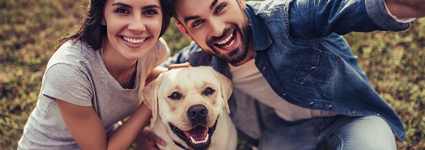 Frau und Mann mit einem Hund zwischen Ihnen nehmen ein Selfie auf