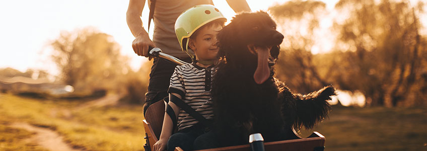 Junge mit Fahrradhelm und Hund sitzen in Transportbox für das Fahrrad