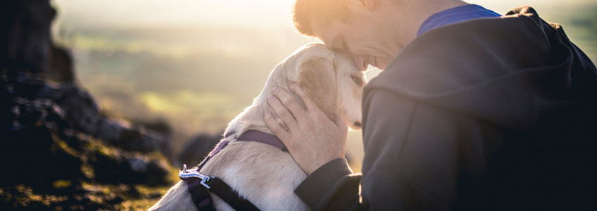 Hund und Mensch Kopf an Kopf 