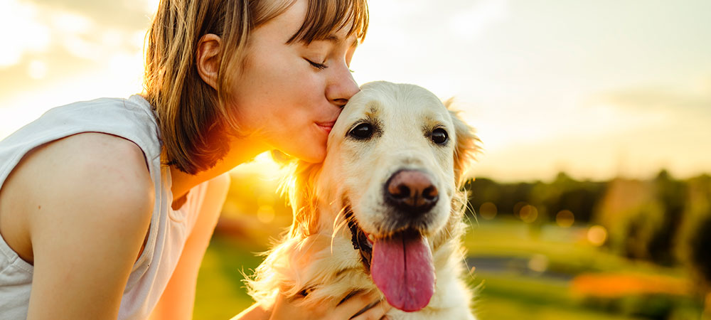 Frau küsst Hund im Sonnenuntergang