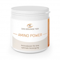 Amino Power - 100 g