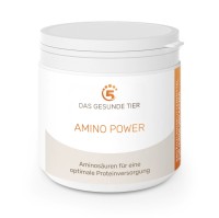 Amino Power - 300 g